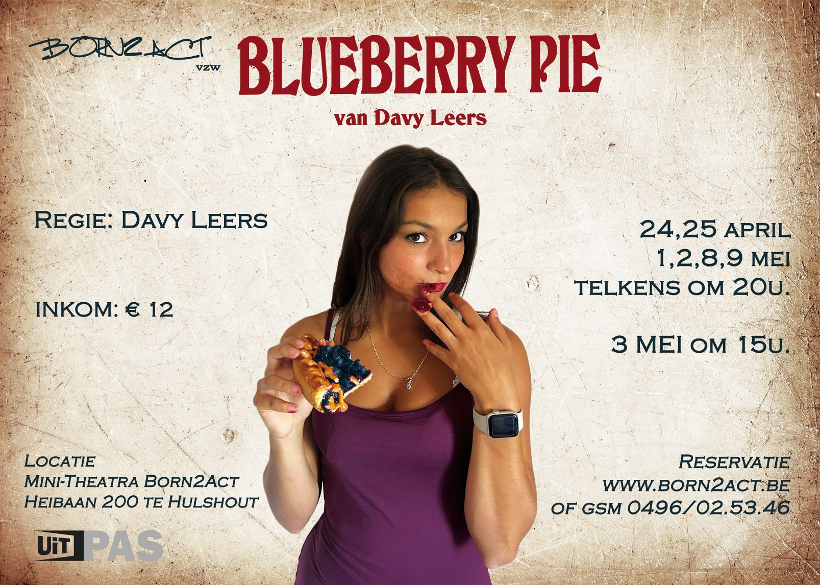 Blueberry Pie